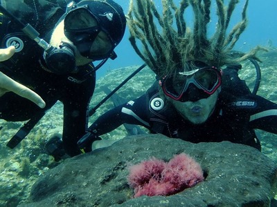 Scuba diving PADI courses in Heraklion Scuba diving PADI courses in Heraklion
