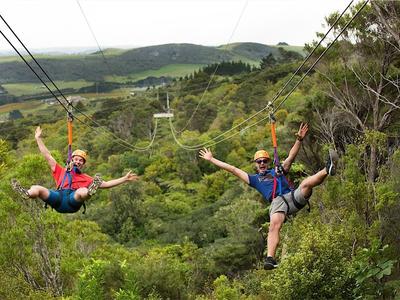 Ziplining excursion on Waiheke Island near Auckland Ziplining excursion on Waiheke Island near Auckland